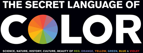 The Secret Language of Color